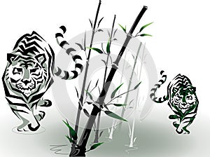 Vector tigers in bamboo