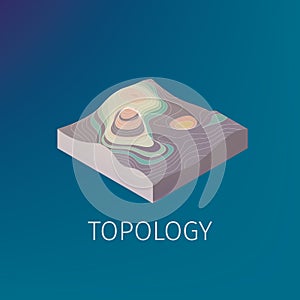 Vector topology isometric icon