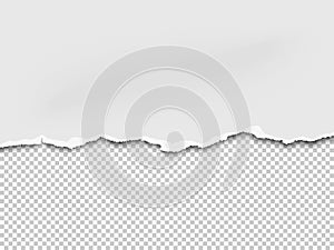 Vector torn a half sheet of white paper from the bottom. Isolated on transparent background. Template paper design