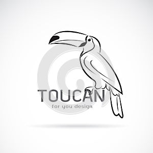 Vector of toucan birb design on white background. Wild Animals. Easy editable layered vector illustration