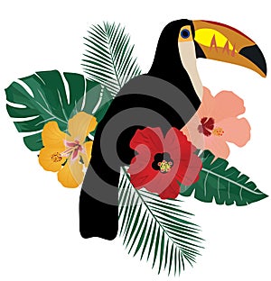 Vector Toucan Bird And Tropical Flowers