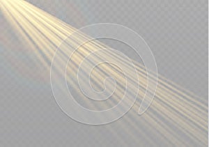 Vector transparent sunlight special lens flare light effect. Christmas abstract pattern. Sparkling magic dust particles