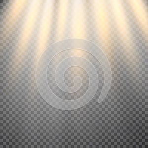 Vector transparent sunlight special lens flare light effect.