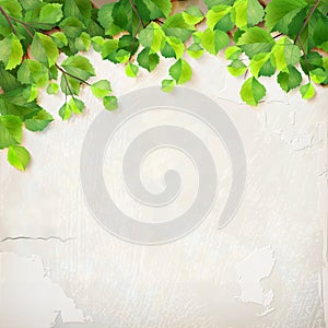 Vector tree branch leaves plaster wall background