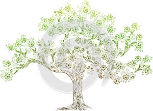 Vector tree with flowes photo