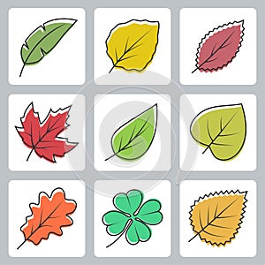 Tree leaves icons set