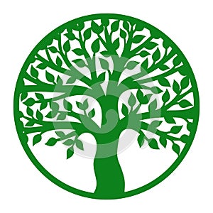 Vector tree of life in a round frame.