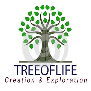 Vector tree logo illustration isolated on a white background