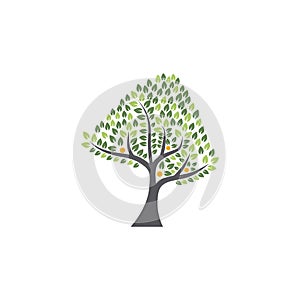 Vector tree logo template. Family tree icon. Stock tree icon, vector illustration