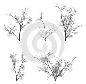 Vector tree pack