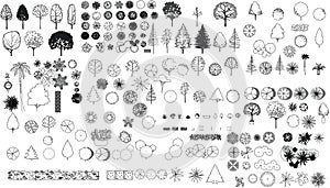 Vector Tree Plan and Elevation Outline Drawing on White Background