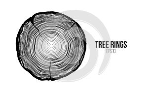 Vector tree rings slice with crack. Annual life texture. Woodgrain pattern