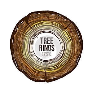 Vector tree rings slice with crack. Annual life texture. Woodgrain pattern