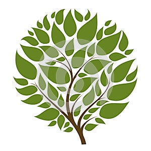 Vector tree with round krone for your logo or other design