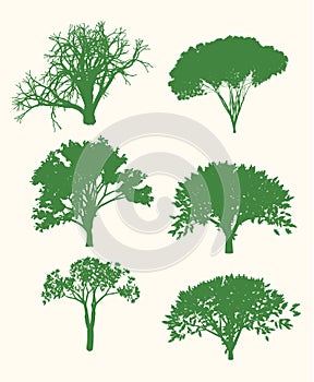 Vector Tree Set Illustration