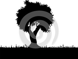 Vector tree silhouette, flowers and grass, black and white vectorial shape,