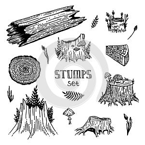 Vector tree stump forest set