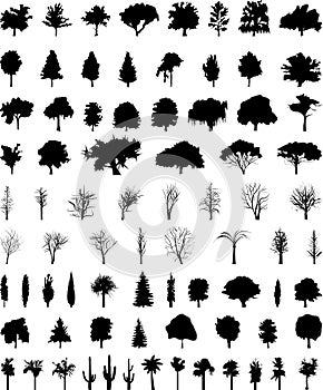 Vector trees