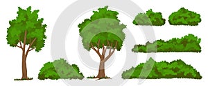 Vector trees and bushes set