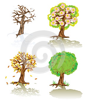 Vector trees of four seasons