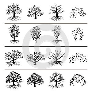 Vector trees with roots, foliage and fallen leaves isolated on white background