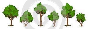 Vector trees set