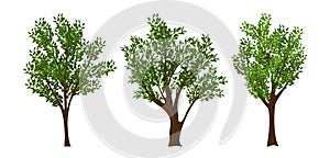 Vector trees set