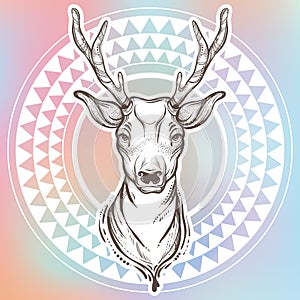 Vector trendy illustration with sketch style deer and ethnic round pattern around. Tribal artwork. Tattoo, astrology, alchemy.