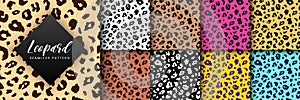 Vector Trendy leopard skin seamless pattern set. Hand drawn wild animal cheetah spots abstract texture for fashion print