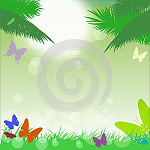 Vector tropical background with l butterflies.