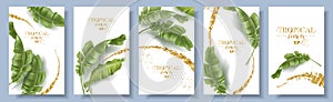 Vector banners set of banana tropic leaf photo