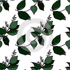 Vector Tropical flowers and leaves isolated. Black and white engraved ink art. Seamless background pattern.