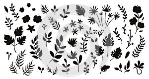 Vector tropical flowers leaves and twigs silhouettes. Jungle foliage and florals black illustration. Hand drawn flat exotic plants