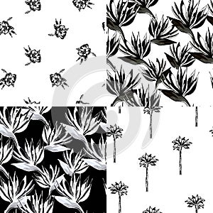 Vector tropical flowers and palms pattern set. Collection of tropical wallpapers on white and black background