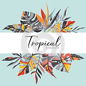 Vector tropical frame with palm leaves, exotic plants and hand drawn abstract texture.