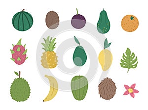 Vector tropical fruit and berries clip art. Jungle foliage illustration. Hand drawn flat exotic plants isolated on white