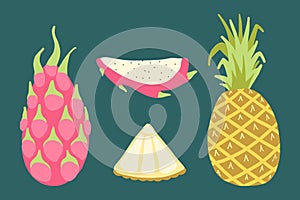 Vector tropical fruits pineapple, dragon fruit, pitaya slice. Vibrant, colorful, fresh, for healthy eating, summer, exotic foods.