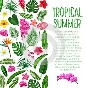 Vector tropical layout