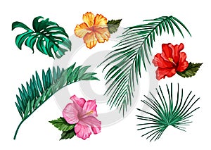 Vector tropical leaf monstera palm hibiscus set