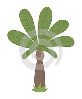 Vector tropical palm tree clip art. Jungle foliage illustration. Hand drawn flat exotic plant isolated on white background. Bright