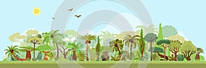 Vector tropical rainforest landscape with palms and other tropical trees. Tropical forest panoramic illustration. Flat