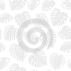 Vector tropical repeat pattern with gray monstera leaves. Hand drawing