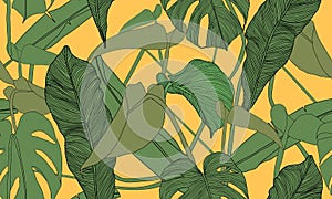 Vector tropical seamless pattern. Exotic green plants on yellow background. Banana and monstera leaves. Abstract floral seamless p