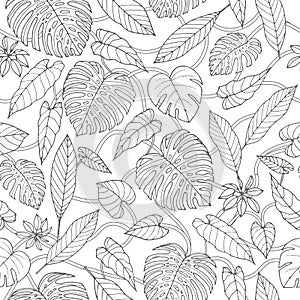 Vector tropical seamless pattern with lianas, monstera and banana leaves. Coloring book design photo