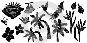 Vector tropical set. Palm trees, flowers, animals