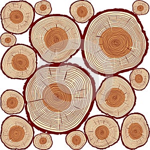 Vector Trunk and rings of Tree. Color Illustration.