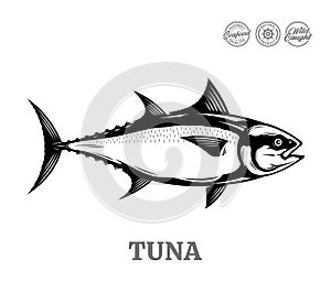 Vector tuna fish illustration