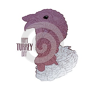 Vector turkey head