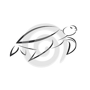 Vector of turtle Black design on a white background. Reptile. Animals. Sea creatures. illustration