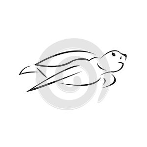 Vector of turtle Black design on a white background. Reptile. Animals. Sea creatures. illustration